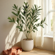 Artificial Plant